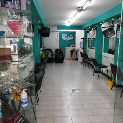 Academia De Belleza Y Peluqueria Crislu ( Lucrecia Pallero Estilista) (Peluquerías en Merlo San Luis)