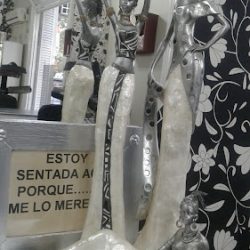 Alejandro Altamira Peinador Estilista (Peluquerías en Merlo San Luis)