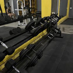 Apolo Gym (Gimnasios en Merlo San Luis)