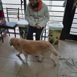 Aubert & Crosa - Veterinarios (Veterinarias en Merlo San Luis)