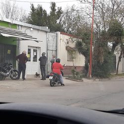 Carniceria Magallanes (Carnicerías en Merlo San Luis)
