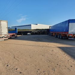 Dellepiane Villa Mercedes (Transporte en Merlo San Luis)