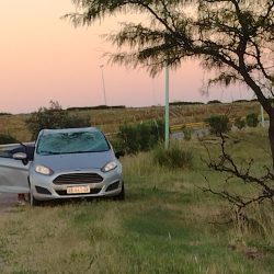 El Gringo Taller Mecanico