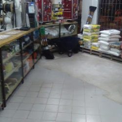 Ferreteria Pringles Y 9 De Julio (Ferreterías en Merlo San Luis)