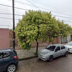 Flor Gadara Peluquería (Peluquerías en Merlo San Luis)
