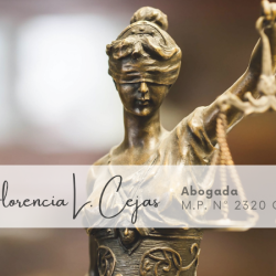Florencia L. Cejas Abogada (Abogados en Merlo San Luis)