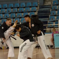 Gimnasio Central Chaiu Do Kwan (Gimnasios en Merlo San Luis)