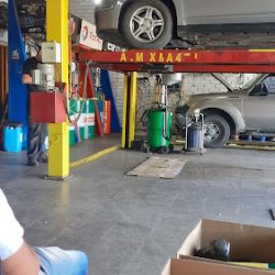 Mediterranea Mercedes