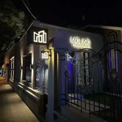 Molino Propiedades (Inmobiliarias en Merlo San Luis)