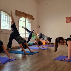 Nido - Espacio Para Familias (Yoga en Merlo San Luis)