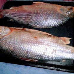 Pescaderia Mastropasqua (Pescaderías en Merlo San Luis)