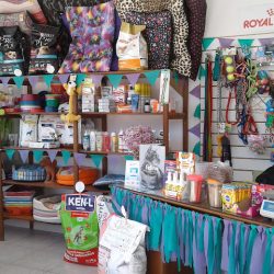 Sanamos En Casa (Veterinarias en Merlo San Luis)