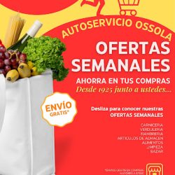 Supermercado Autoservicio Ossola (Supermercados en Merlo San Luis)