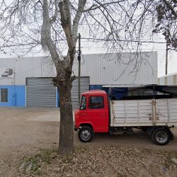 Trassporte Andina (Transporte en Merlo San Luis)