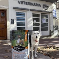 Veterinaria Mizrahi (Veterinarias en Merlo San Luis)