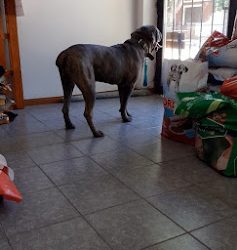 Veterinaria Nihuil (Veterinarias en Merlo San Luis)