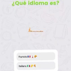 Voyage Instituto (Clases de idiomas en Merlo San Luis)