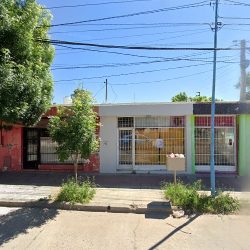 Xuavia Peluquería Canina
